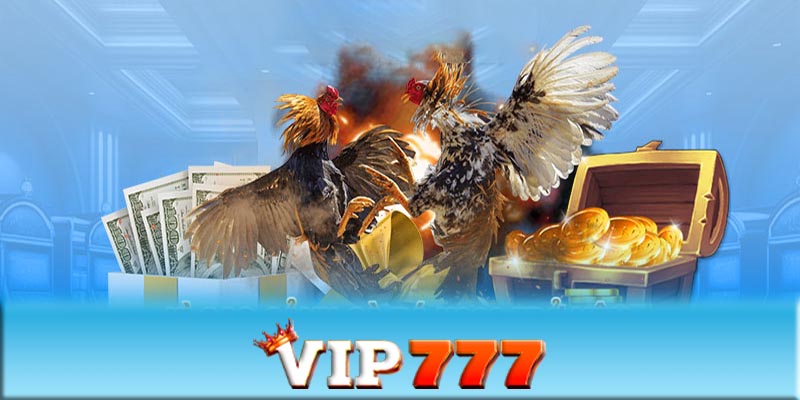 Tâm lý và kinh nghiệm của người chơi đá gà VIP777