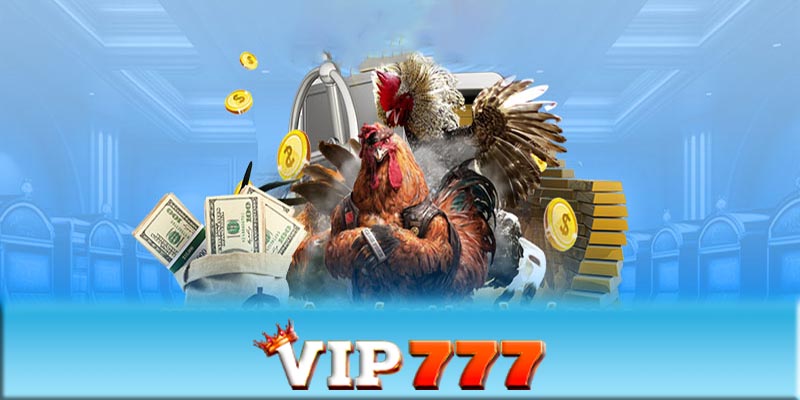 Những sai lầm thường gặp trong đá gà VIP777